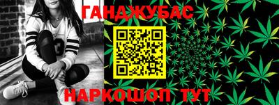 гидропоника Будённовск