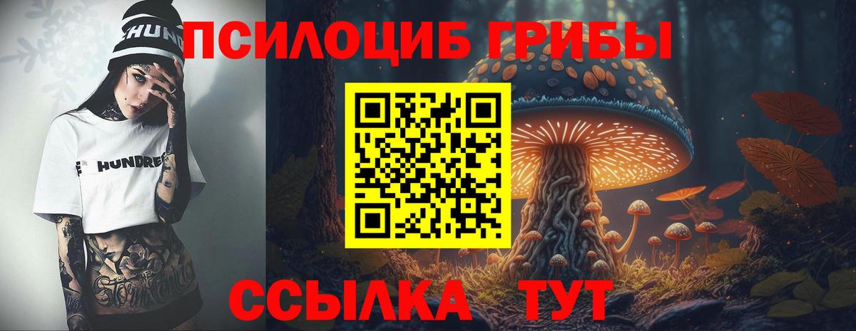 Сланцы  Псилоцибиновые грибы мухоморы  Вход с VPN 